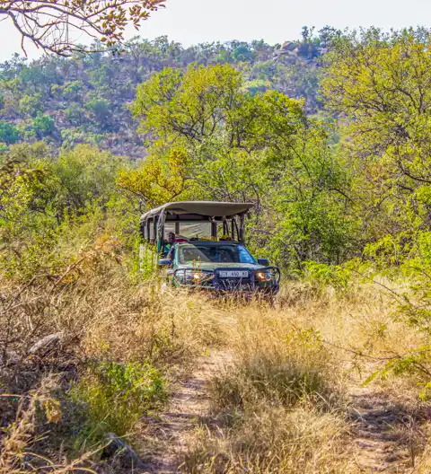 Izizwe Rainbow Tours