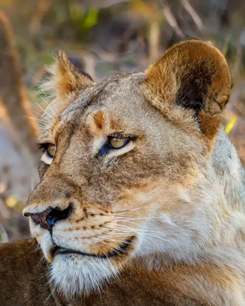 © www.theguys.co.za